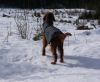 Filename=DSC02892.JPG
Filesize=206KB
Dimensions=670x550
Date added=Mar 27, 2011 DSC02892.JPG