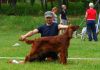 Filename=DSC03488.JPG
Filesize=145KB
Dimensions=550x390
Date added=Jun 12, 2011 DSC03488.JPG