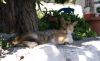 DSC03620.JPG