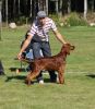 Filename=DSC03947.JPG
Filesize=173KB
Dimensions=481x550
Date added=Sep 13, 2011 DSC03947.JPG