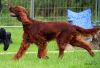 Filename=axa_norrk.jpg
Filesize=113KB
Dimensions=720x492
Date added=Mar 09, 2011 axa_norrk.jpg
