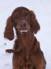 Filename=hera.jpg
Filesize=41KB
Dimensions=453x604
Date added=Mar 09, 2011 hera.jpg
