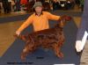 Filename=samsam_mydog.jpg
Filesize=81KB
Dimensions=800x597
Date added=Mar 09, 2011 samsam_mydog.jpg